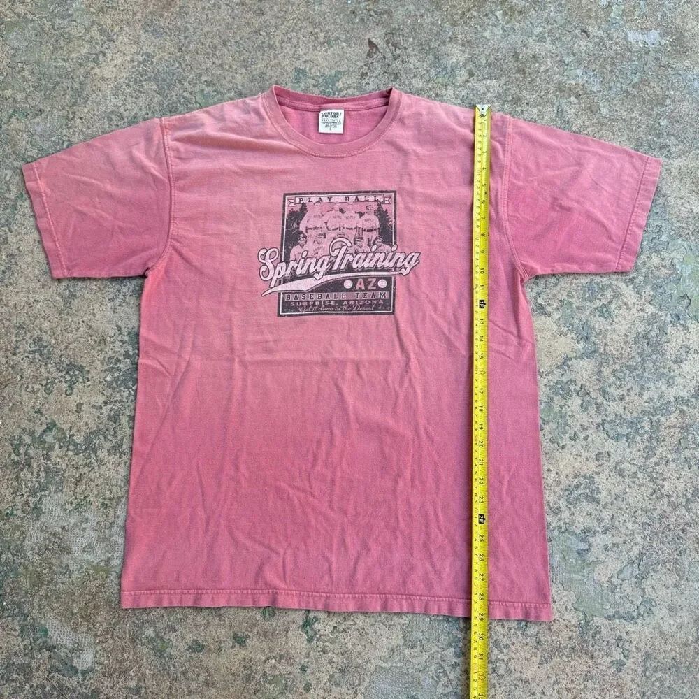 Vintage Baseball Spring Training Faded Wash Y2K Shirt